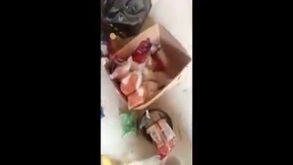 لقطة أصلية لمواد غذائية من توثيق المؤسسة