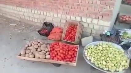 لقطة أصلية من أحد المشروعات الصغيرة المدعومة